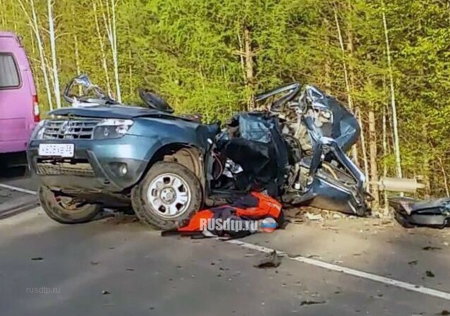 Мужчина и женщина погибли под встречным лесовозом в Иркутской области 