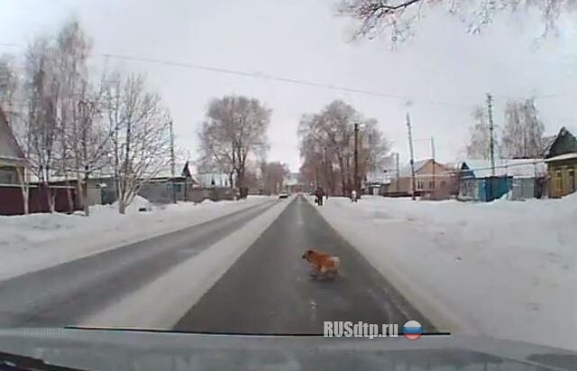 Рыжего задавили 