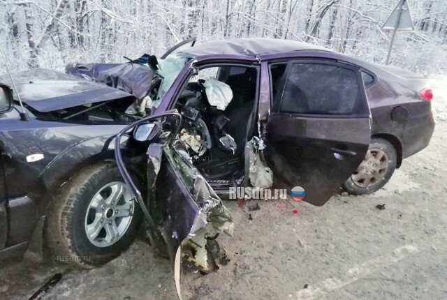 Женщина и ребенок погибли в ДТП в Нижегородской области 