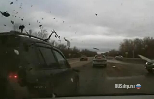 Пьяная мразь устроила экшн 