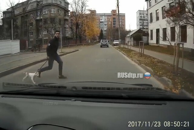Автоподстава с пешеходом и собакой