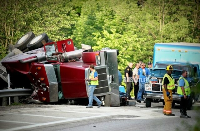 400 поросят погибли в результате ДТП в Огайо 