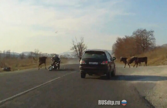 Видео из лета… 