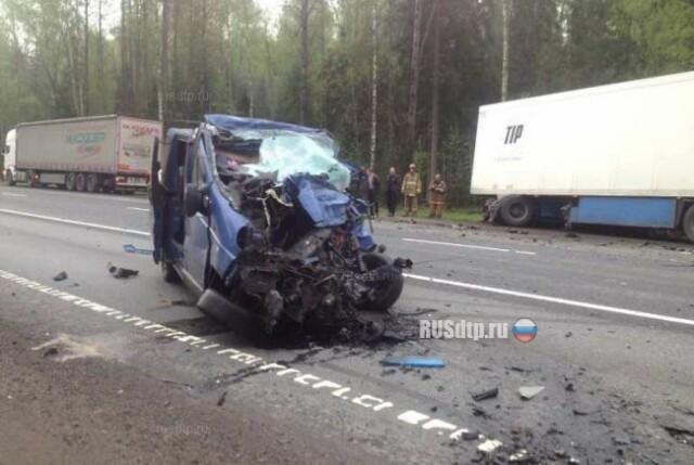 Шесть человек погибли в ДТП на трассе М-10 под Новгородом. Фото 