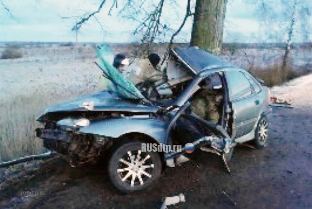 Пассажир «Рено» погиб в ДТП на автодороге «Советск — Гусев» 
