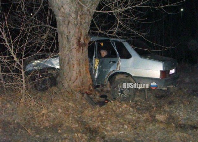 30-летний водитель автомобиля ВАЗ-21099 совершил наезд на дерево и погиб 