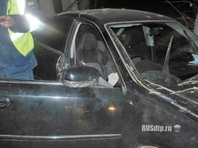 В Чите «Субару» врезался в дерево 