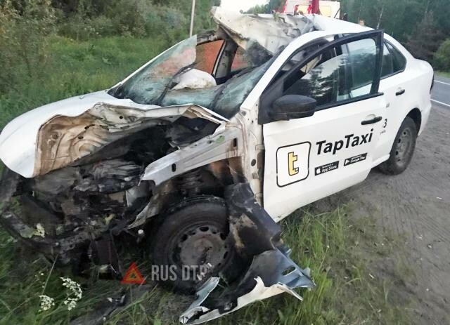 Таксист сбил лося и погиб в результате ДТП в Удмуртии 