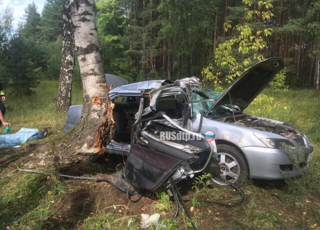В Ярославле Mitsubishi врезался в дерево: погиб пассажир 