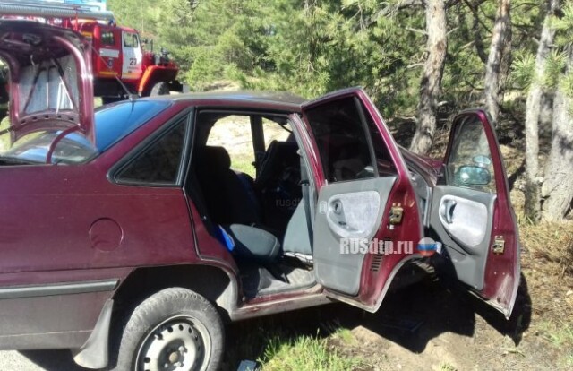 В Нововоронеже водитель «Нексии» уснул за рулем и погиб, врезавшись в столб 