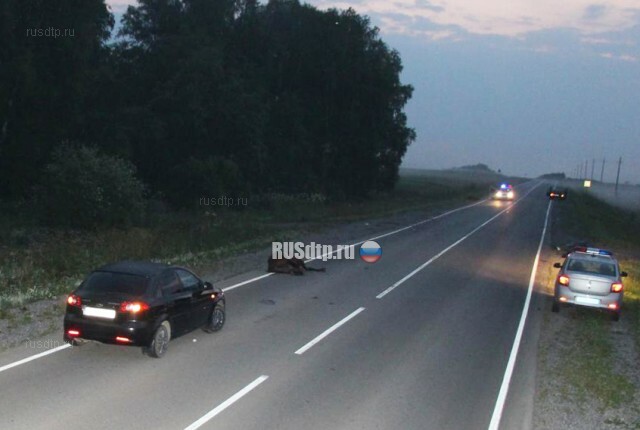 Двое погибли при наезде автомобиля на лошадей в Кигинском районе Башкирии 