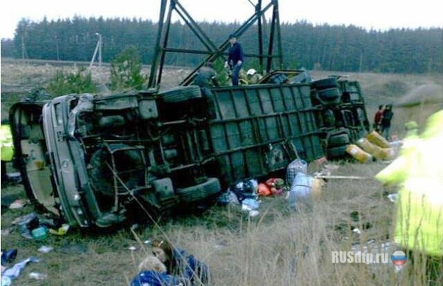 В Липецкой области из-за выбежавшей на дорогу собаки перевернулся автобус 