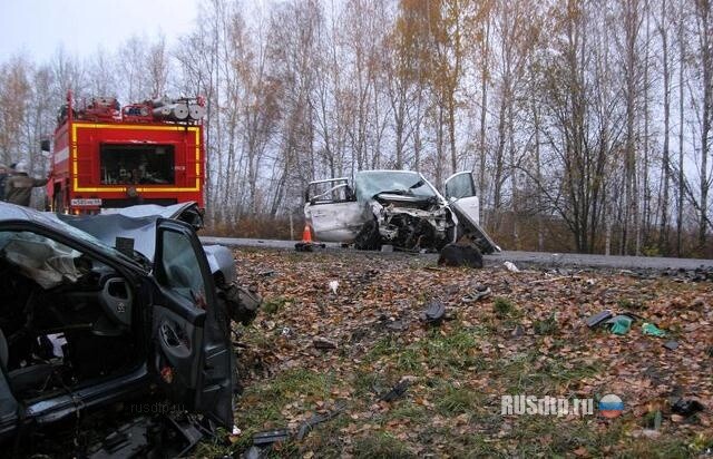 На трассе М6 кабан спровоцировал серьезное ДТП 