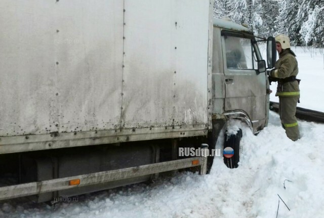 Женщина на «Сузуки» погибла в ДТП с грузовиком в Гусь-Хрустальном районе 
