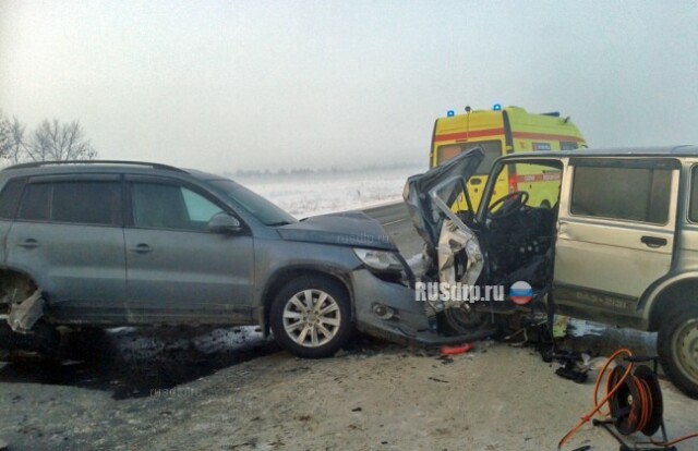 Водитель КАМАЗа скрылся с места ДТП с двумя погибшими под Оренбургом 