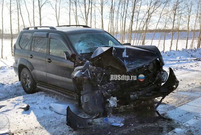 Пьяный дальнобойщик совершил ДТП на трассе Омск — Новосибирск. ВИДЕО 