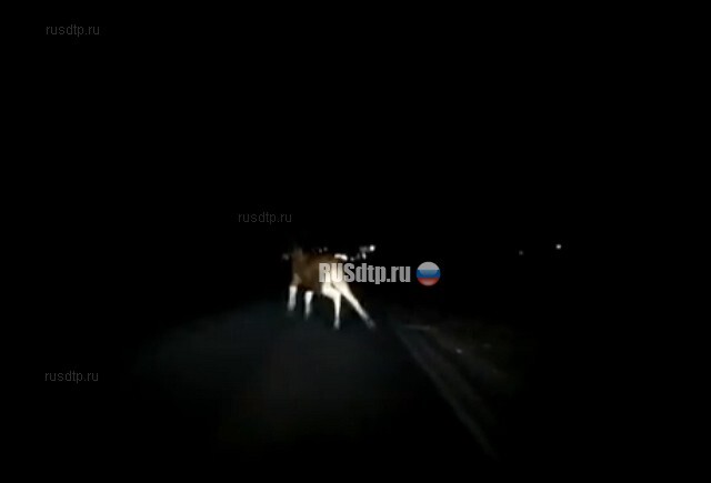 Во Владимирской области