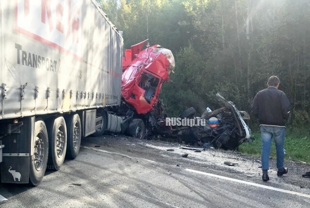 Дальнобойщик погиб в ДТП на трассе «Кола» в Ленобласти 