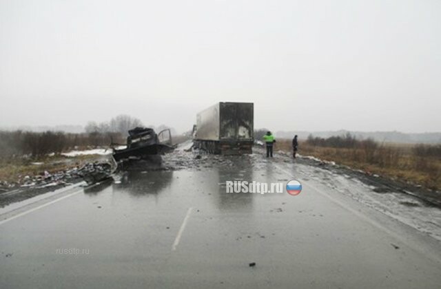 Уснувший водитель «Газели» устроил крупное ДТП на трассе Челябинск — Новосибирск 