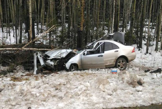 В ХМАО двое погибли при наезде «Мерседеса» на лося 