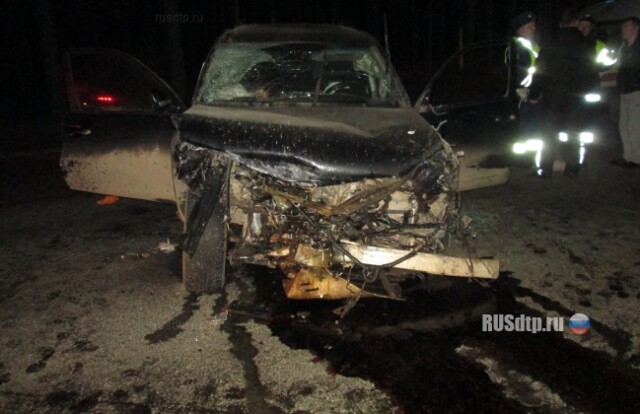 Два человека погибли в Кирово-Чепецком районе 