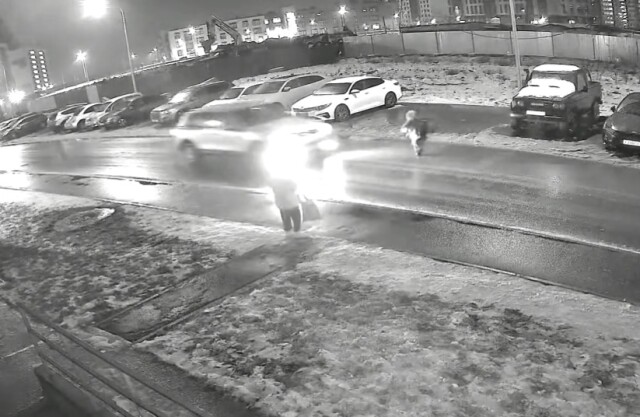 В Великом Новгороде ребенок выбежал на дорогу и попал под колеса автомобиля