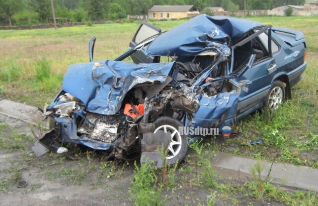 56-летний водитель погиб в столкновении \»Лады\» и КАМАЗа в Каменском районе 