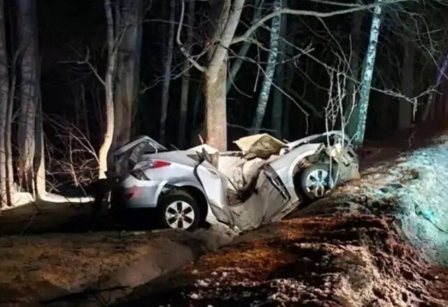 Hyundai Solaris врезался в дерево в Башкирии: погибли двое мужчин 