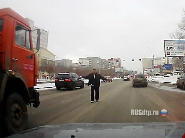 Пьяная скотина на дороге 