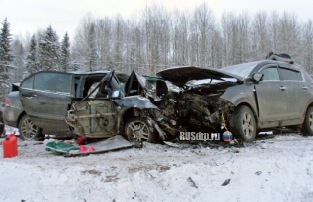 Один человек погиб и шестеро пострадали в результате ДТП в Чагодощенском районе 