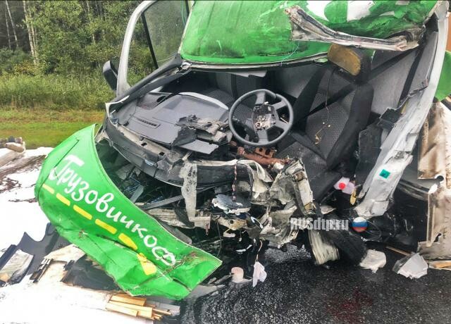 Водитель «Газели» уснул за рулем и погиб в ДТП на трассе М-10 