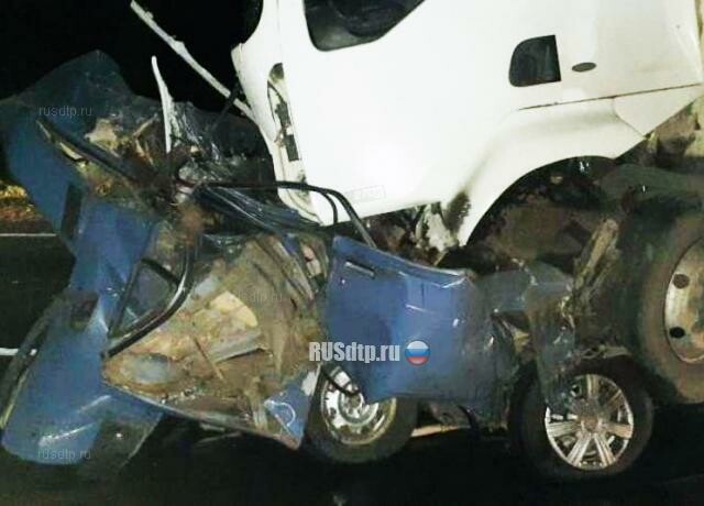 5 человек погибли под встречным грузовиком в Алтайском крае 
