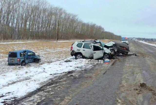 Женщина и ребенок пострадали в ДТП в Башкирии 