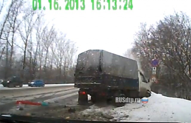 Газель спасла 