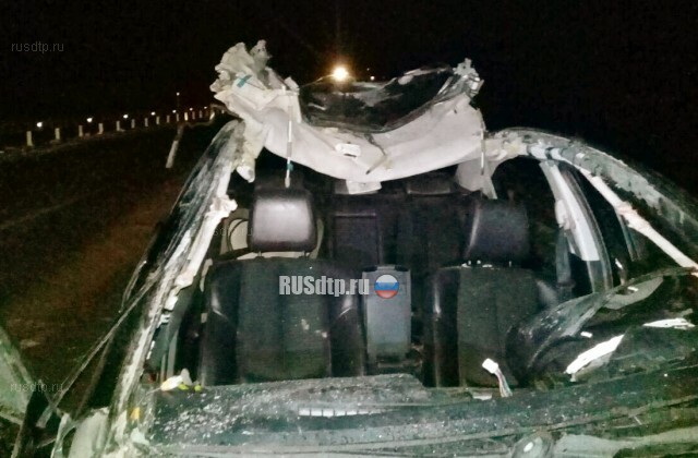 Два автомобиля врезались в табун лошадей в Томской области 