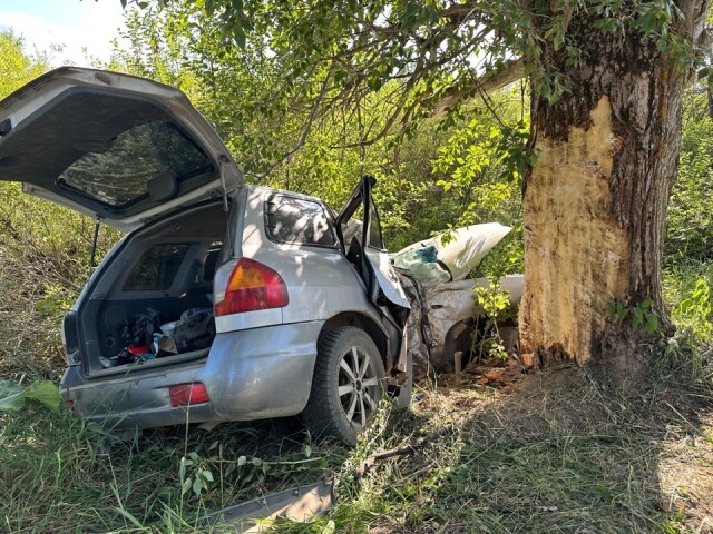 В Тверской области Hyundai Santa Fe врезался в дерево: погибли водитель и пассажир 