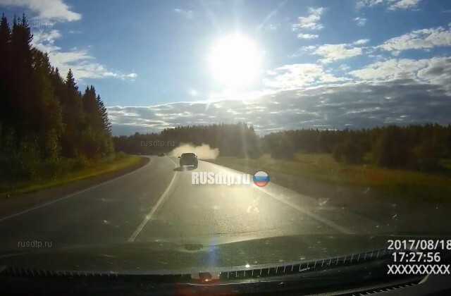 Два синебота не в адекваете (с)