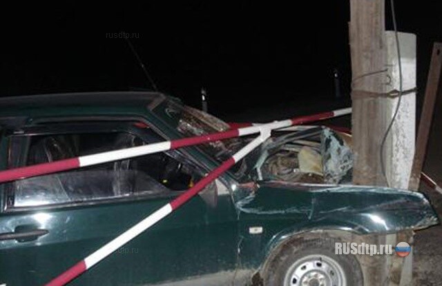 Шлагбаум пронизывающий 