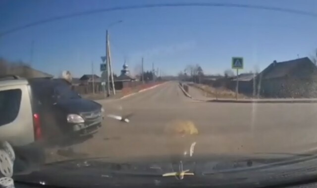 ДТП в Саянске: водитель «Ларгуса» выезжал со второстепенной и не пропустил автомобиль 