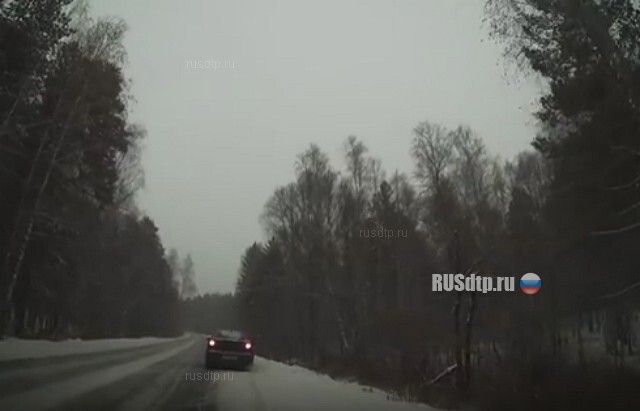 Сбили косулю