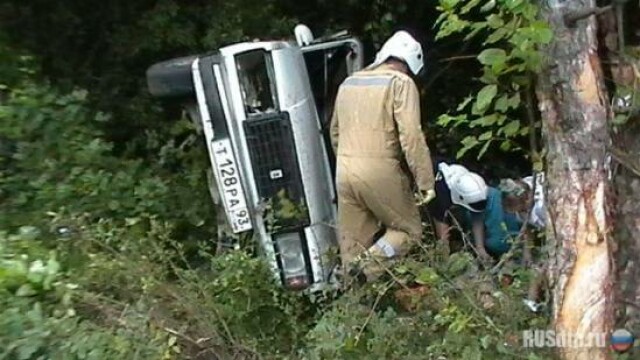 Наезд на дерево оказался роковым для пассажира 