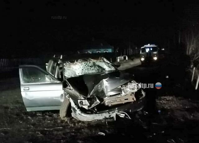Пьяный водитель сбил семью из пяти человек в Воронежской области 