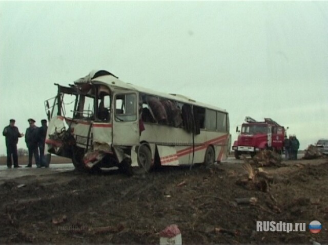 Автобус врезался в дерево — погибли три человека 