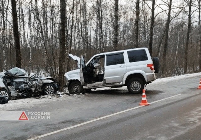 Водитель и пассажир Kia разбились в ДТП под Тулой 