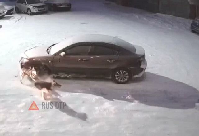 В Новом Уренгое собаки разбили припаркованную машину