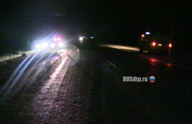 Пьяный водитель сбил трех человек в Красноярском крае 