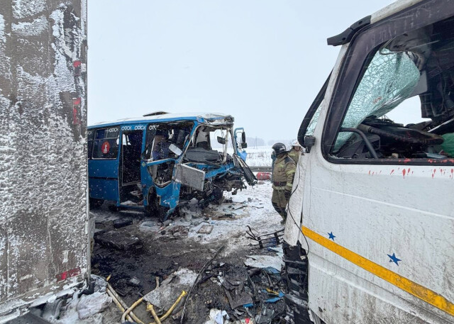 Шесть человек погибли в массовом ДТП в Омской области 