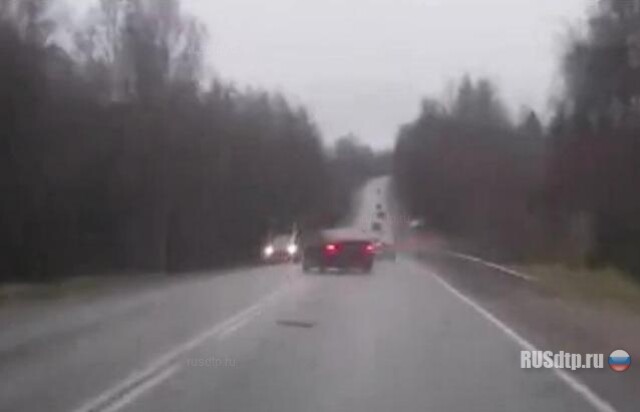 Напугал и себя и встречного 