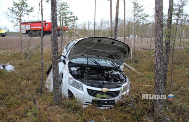 В Сургуте непристегнутый водитель погиб в ДТП 