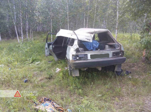 В Челябинской области пьяный водитель на «девятке» опрокинулся в кювет 